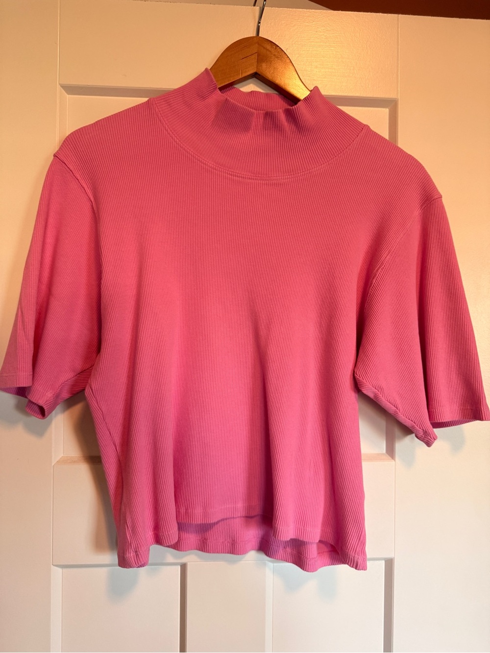 Big Bud Press Pink Mock Neck Short Sleeve Top